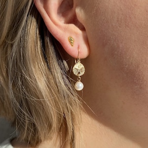 Gold Filled Shell Pearls Earrings ∙ Sand Dollar Charms ∙ Wedding Jewelry ∙ Dangle Earrings ∙ Starfish Seashell Earrings Waterproof