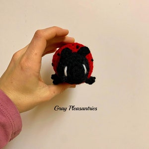 Può includere: Un giocattolo di coccinella all'uncinetto con occhi neri e macchie rosse e nere. Il giocattolo è tenuto in una mano.