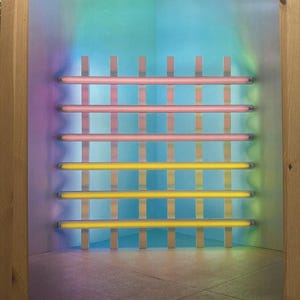 Puede incluir: Un póster enmarcado para una retrospectiva de Dan Flavin. La obra presenta tubos fluorescentes rosas y amarillos en una cuadrícula sobre un fondo degradado de azules, verdes y morados. El póster está montado en un marco de madera, con el título en la parte inferior.
