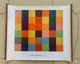 Authentic Ellsworth Kelly Exhibition Poster - Sunflower - Museum