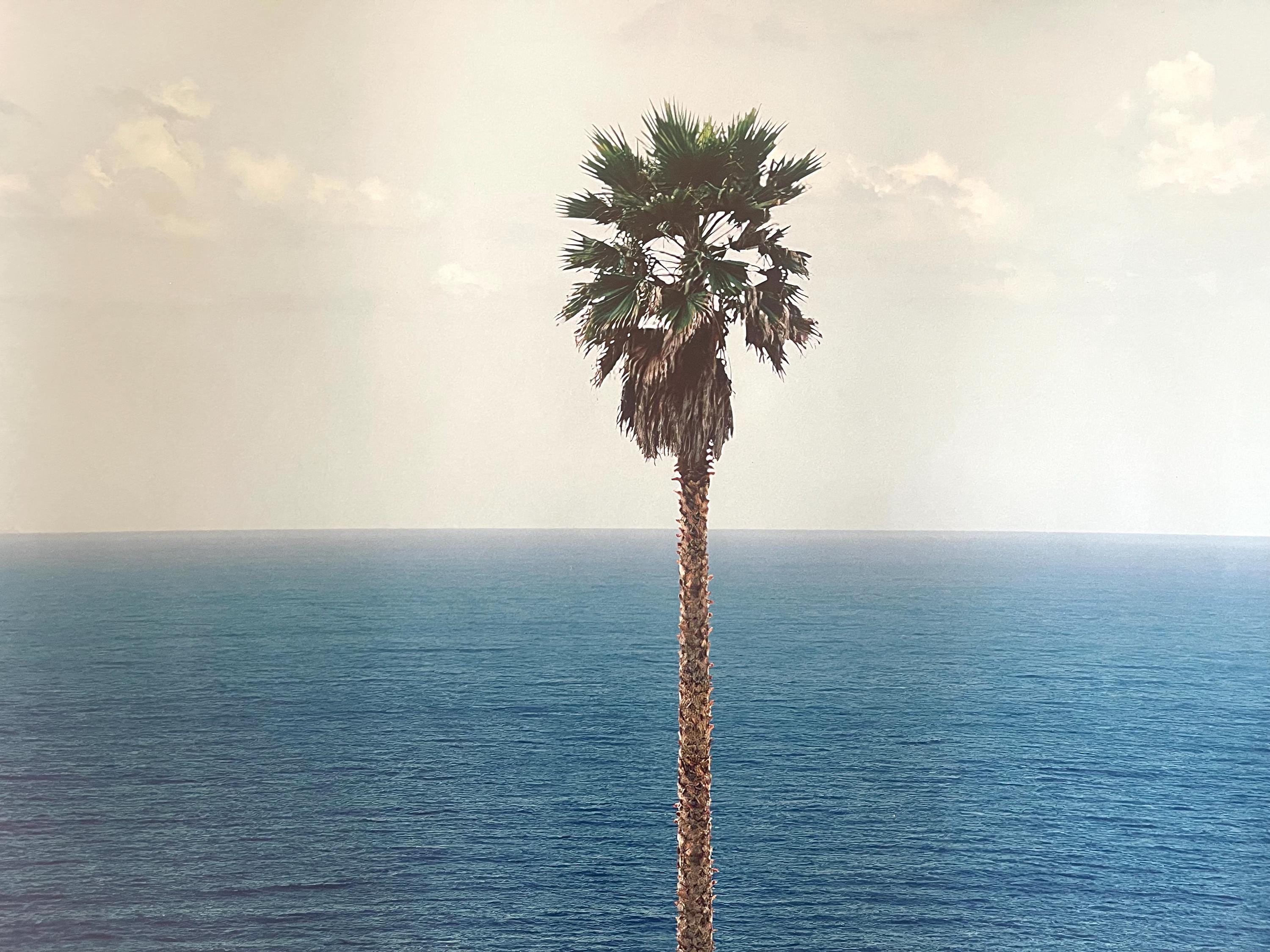 Palm John Baldessari JOHN Seascape Poster Tree バルデッサリ⁄額装