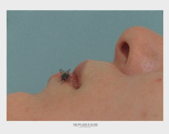 Cartel original de la exposición de Yoko Ono Fly, arte contemporáneo conceptual.