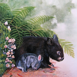 Wenskaart - moederwombat en jong - babywombat - Australisch buideldier