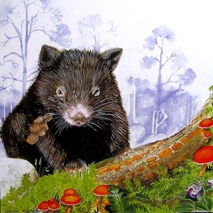 Greeting card - Common Wombat - Australian marsupial
