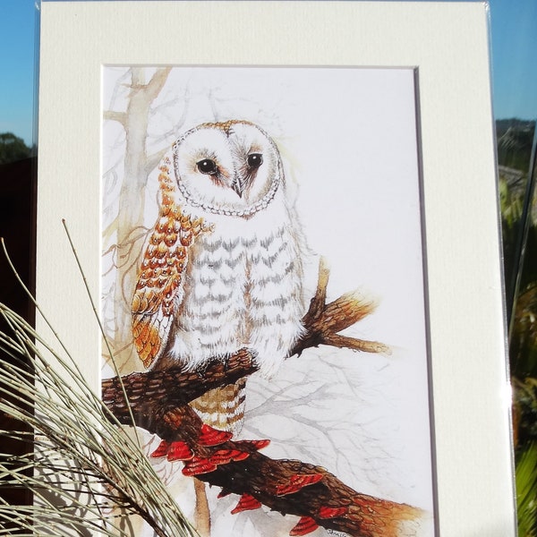 A4 Mounted Print, Barn Owl, Tyto alba, Wall Art, Australian Bird, Bird, Owl, Jennifer Scott, Bird Print