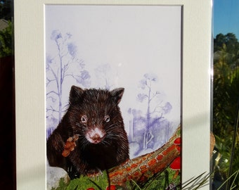 A4 Mounted Print, Common Wombat, Vombatus ursinus, Animal Print, Wall Art, Australian Wildlife, Wildlife Artist, Jennifer Scott,