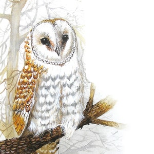 Greeting Card - Barn Owl - Australian Bird