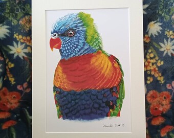 A4 Mounted Print, Rainbow Lorikeet; Australian Bird, Wall Art, Bird Print, Australian Wildlife, Jennifer Scott, Wildlife Artist