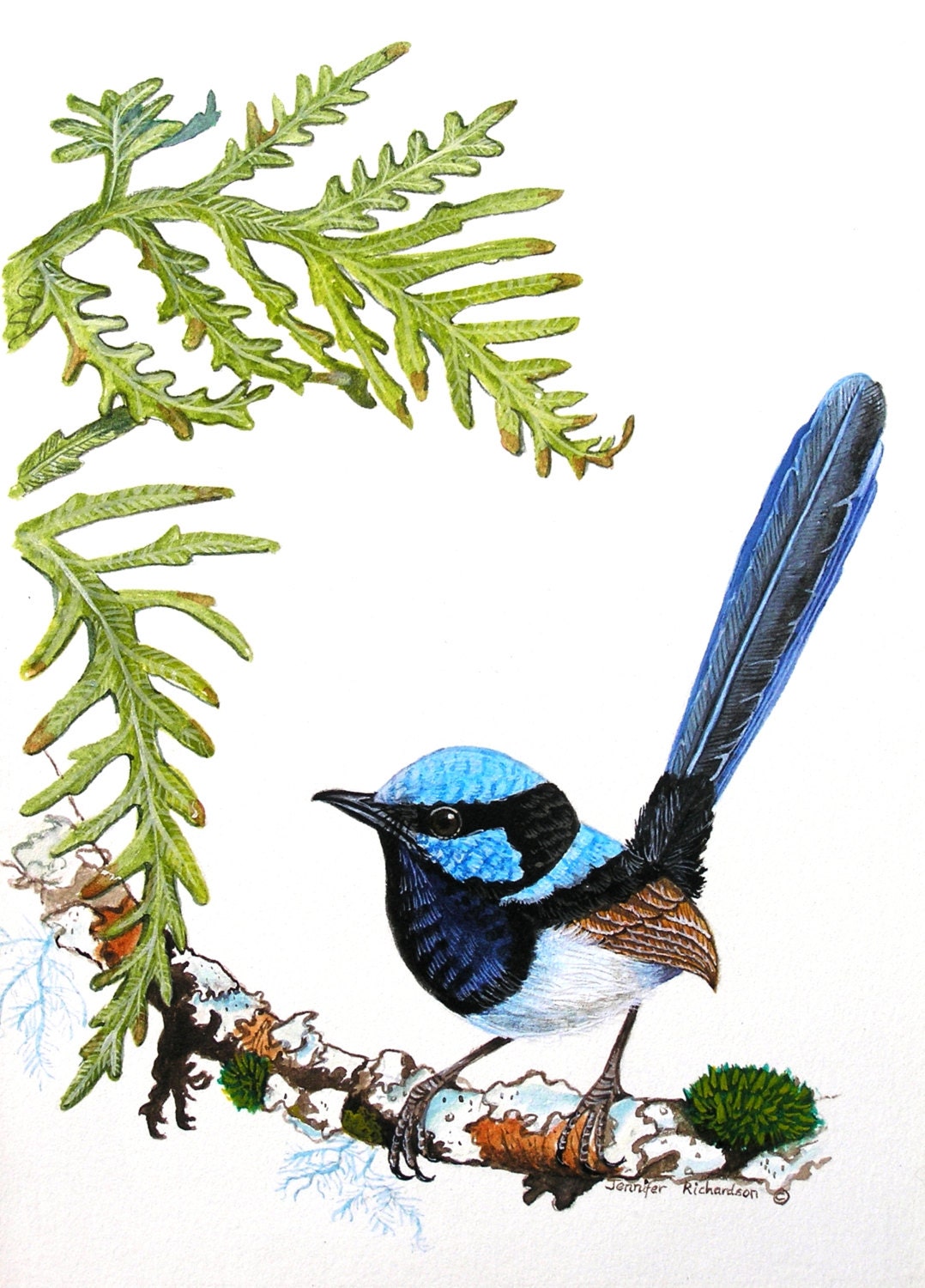 ArtisticInNatureShop - Etsy Singapore