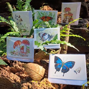 Pack of 6 half-sized, mini (A7) Gift Cards - Australian Ground Orchids, Mushrooms & Butterflies