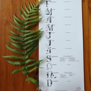 K&ouml;nnte beinhalten: Ein Kalender mit wei&szlig;em Hintergrund und schwarzem Text. Die Monate des Jahres sind auf der linken Seite des Kalenders aufgelistet, wobei jeder Monatsname in einer gro&szlig;en, stilisierten Schrift geschrieben ist. Der Kalender enth&auml;lt auch eine Liste der australischen Flora und Fauna, die mit jedem Monat verbunden sind.