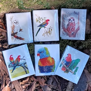 Pack of 6 half-sized, mini (A7) Gift Cards - Australian Birds - Parrots and Owls