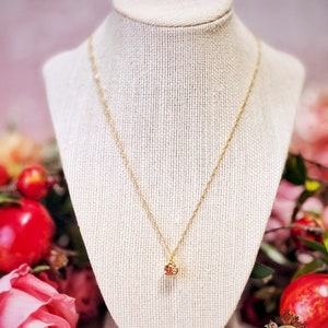 May include: A gold chain necklace with a small, red, sparkly pendant. The necklace is displayed on a fabric-covered mannequin.