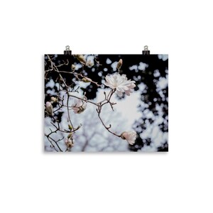 Botanical Garden Poster