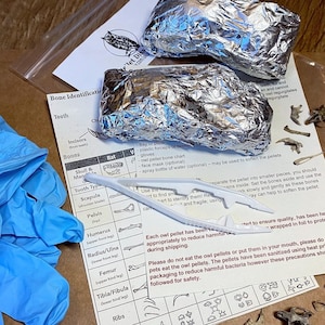 May include: A close-up of a bone identification chart for owl pellets. The chart includes a list of bones, their location on the owl, and a diagram of the bones. The chart is printed on white paper and is surrounded by a variety of owl bones. The chart also includes instructions on how to safely handle and identify the bones.