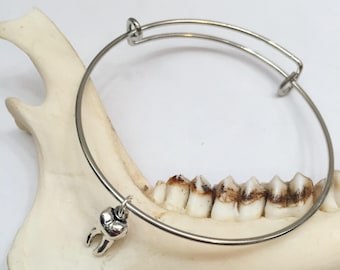 May include: A silver charm bracelet with a tooth charm. The bracelet is on a white background.
