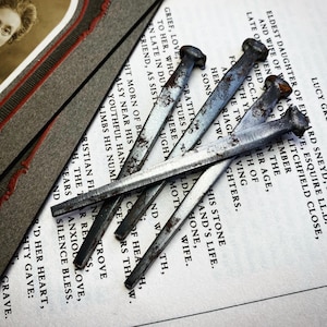 May include: A close-up of five rusty metal nails on a page of an old book. The book is open to a page with text about a woman's life and death. The nails are arranged in a criss-cross pattern.