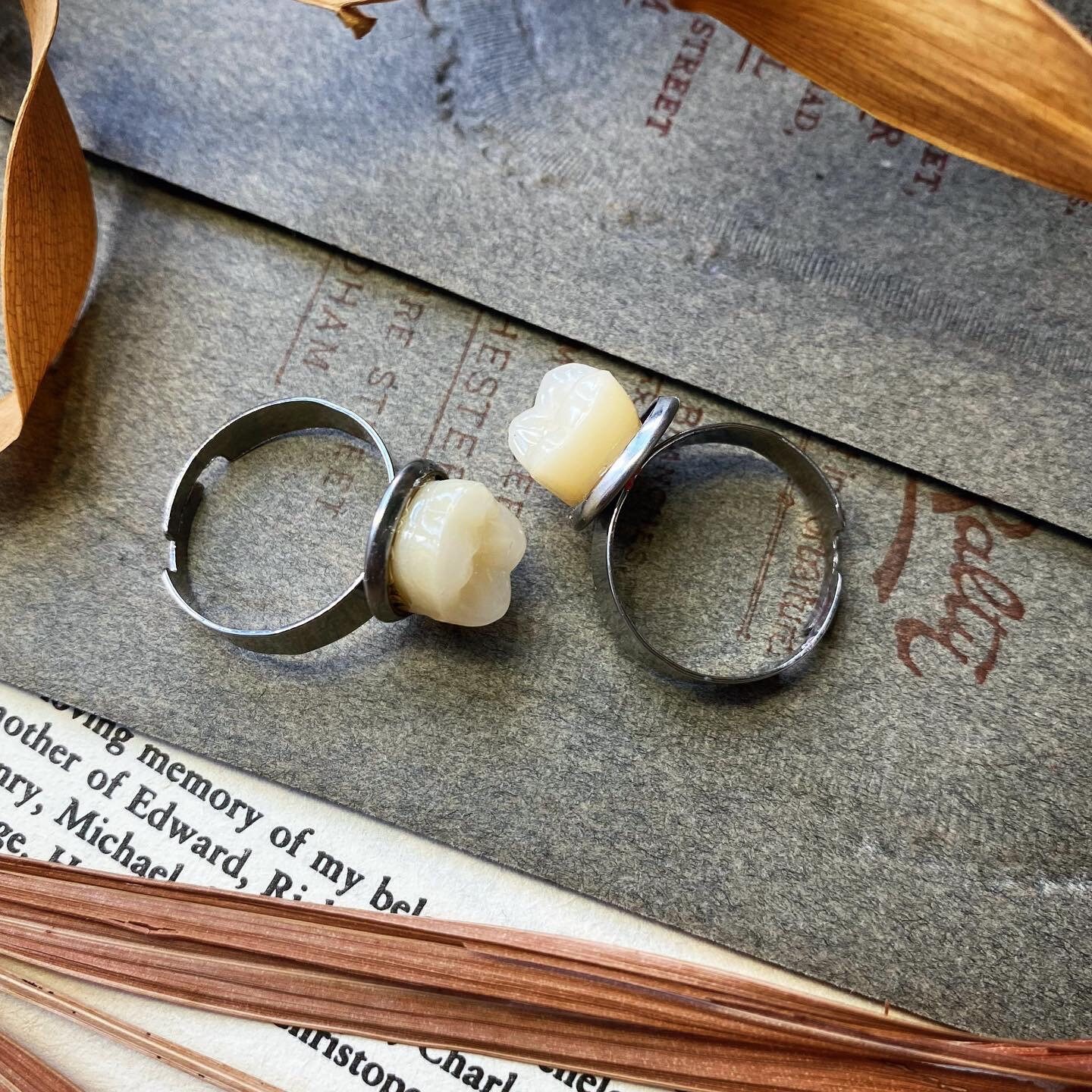 Toot Rigs Adult Molar Tooth Ring: Oddities Curiosities Taxidermy Jewelry, Memento ...