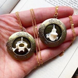 Real rabbit vertebrae bone in bronze victorian style locket, vintage antique necklace, memento mori mourning jewelry, oddities curiosities