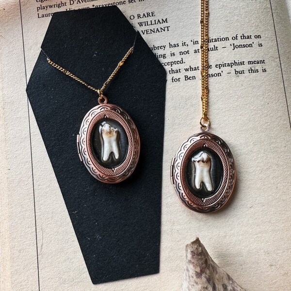 Real deer tooth encased within rose gold vintage victorian locket, taxidermy & curio jewelry, memento mori, mourning jewellery, tooth locket