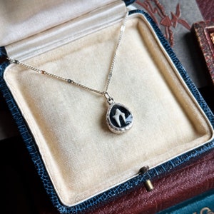 May include: A silver necklace with a black and white pendant featuring a tooth inside. The necklace is displayed in a blue velvet jewelry box.