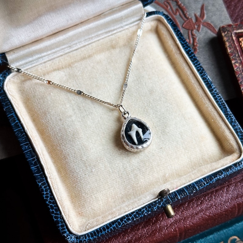 May include: A silver necklace with a black and white pendant featuring a tooth inside. The necklace is displayed in a blue velvet jewelry box.