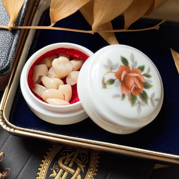 porcelain trinket dish with human teeth, oddities curiosities, gothic home decor, memento mori victorian mourning, unusual gift