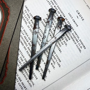 May include: A close-up of six rusty nails on a page of a book with text about Lucy Grove, the daughter of Edward Sneyd, Esquire, and wife of William, Esquire, LL.D. of Litchfield Close.