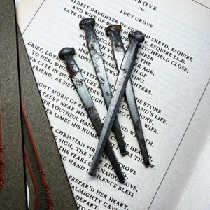May include: A close-up of a stack of six rusty metal nails on a page of a book. The book is open and the text on the page is visible. The text reads "ELDEST DAUGHTER OF EDWARD SNEYD, ESQUIRE AND WIFE OF WILLIAM, ESQUIRE LL.D., LATE OF LITCHFIELD CLOSE, REMEMBER IN THE AGE, OF", and so on.