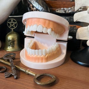 Può includere: Un set di denti finti con canini affilati e appuntiti, esposti su una base rosa. I denti sono bianchi, in contrasto con le gengive rosa. Sono visibili anche chiavi antiche e una campana decorativa con un pentagramma.