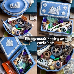 Puede incluir: Una colección de cajas y platos Wedgwood azules llenos de curiosidades. Las cajas presentan diseños en relieve blancos y contienen elementos como huesos, una estrella de mar y ojos de cristal. El texto "Wedgwood oddity and curio box" es visible.