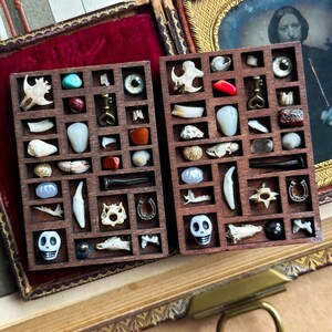 May include: Two wooden display boxes filled with a variety of small objects, including bones, teeth, gemstones, and miniature skulls. The boxes are arranged in a grid-like pattern, with each compartment holding a different item. The boxes are set inside a decorative frame.