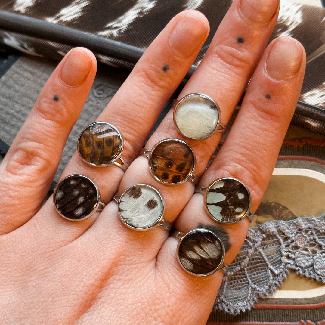 蝶々の羽根リング　骨董品 本物の蝶の羽根の指輪、昆虫学ジュエリー、珍品、珍品、剥製芸術、自然