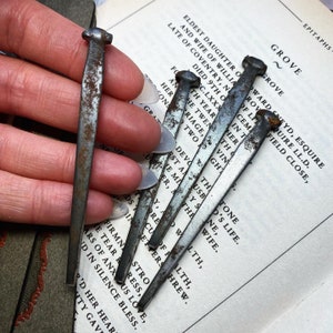 May include: A close-up of a hand holding a bundle of rusty, silver-coloured nails. The nails are arranged in a fan shape and are resting on a book with text.