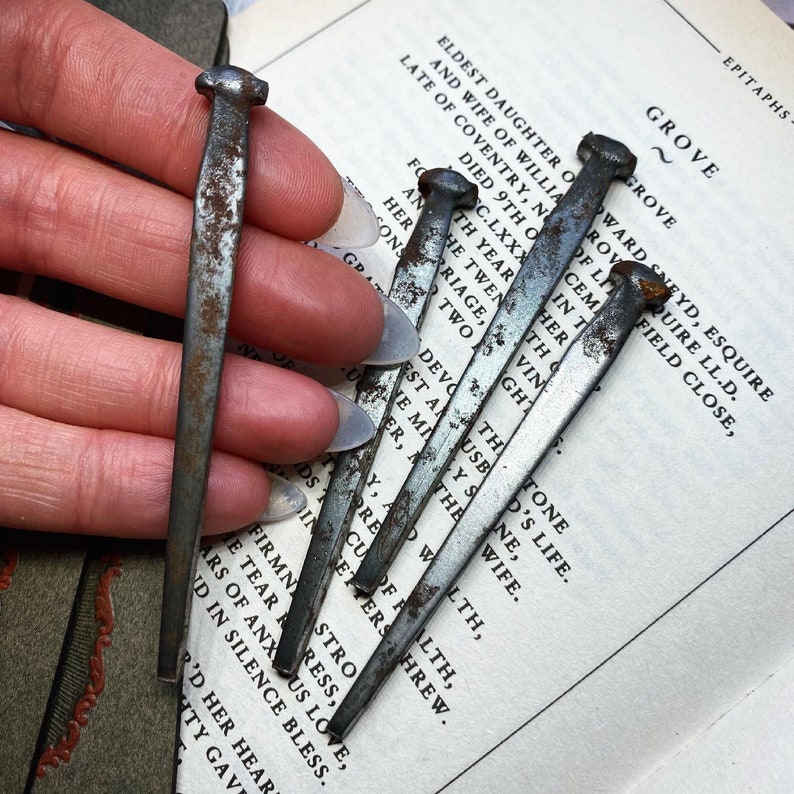 May include: A close-up of a hand holding a bundle of rusty, silver-coloured nails. The nails are arranged in a fan shape and are resting on a book with text.
