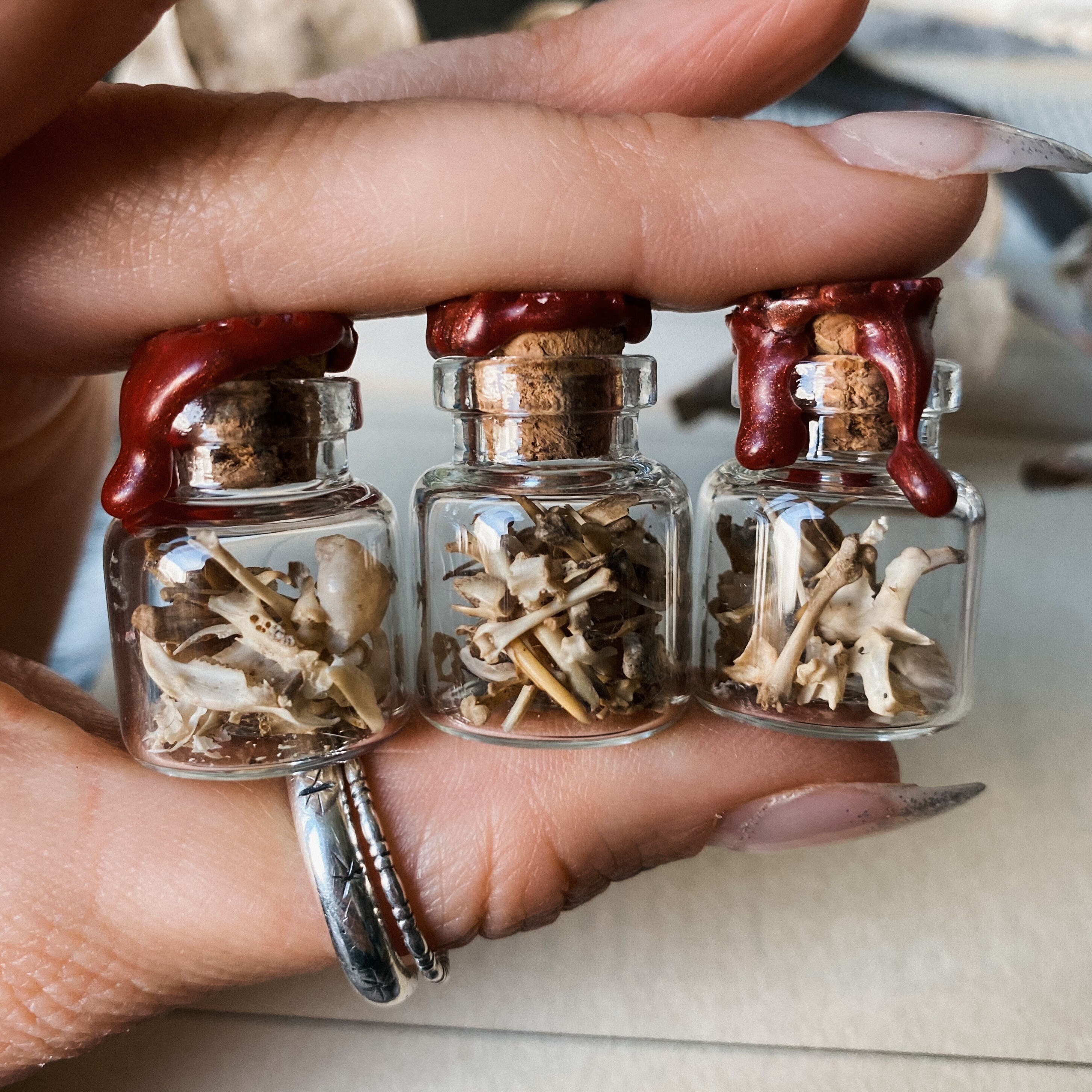 Oddities Specimen Jar: Bottle of Small Animal Bones, Curiosities