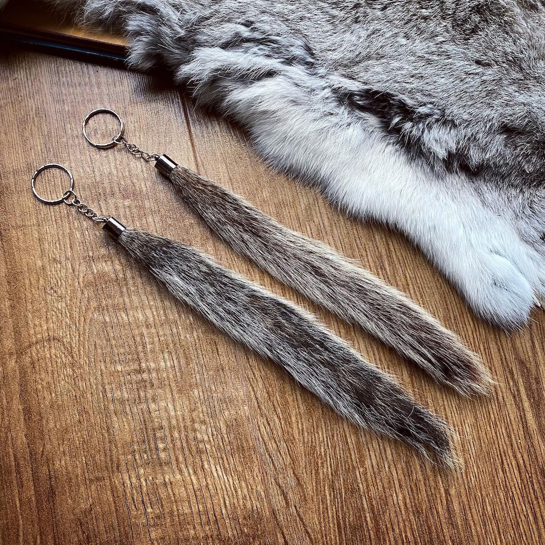 Real Squirrel Keyring or Bag Charm Taxidermy and Memento Mori Oddities and Curiosities Gothic Jewellery and Accessories Etsy