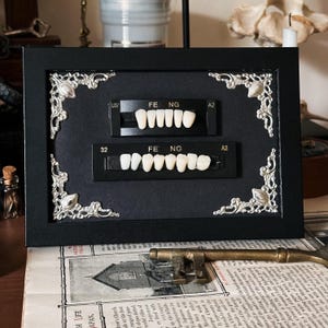 Può includere: Un'esposizione incorniciata in nero con due file di denti bianchi su sfondo nero. La cornice ha decorazioni angolari argentate decorative. I denti sono montati su strisce nere con la scritta "FE NG" e numeri. Una chiave e un giornale vintage sono in primo piano.