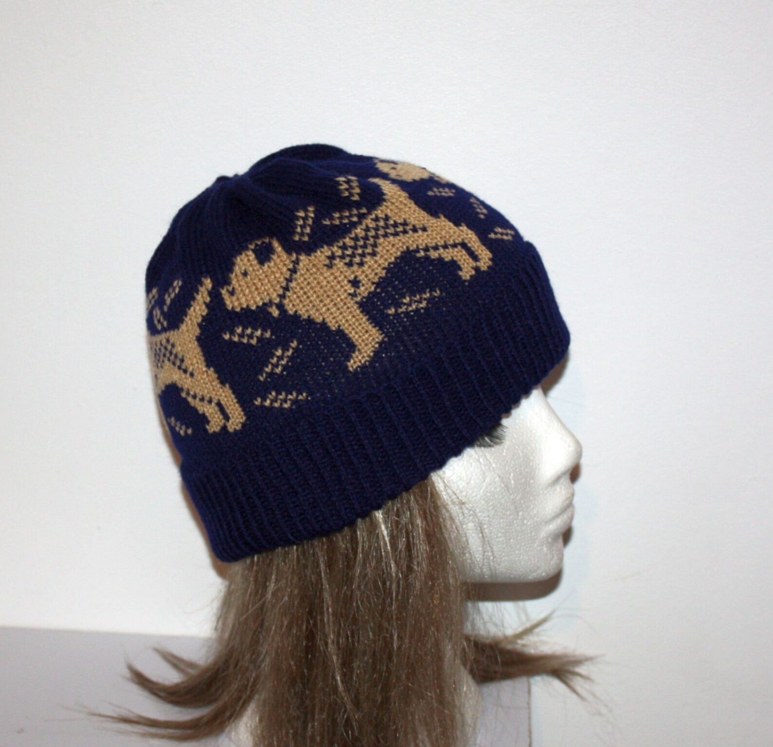 Fawn Border Terrier ou Patterdale Terrier Dogs sur navy ...