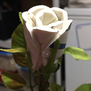 Sports Rose - Volleyball
