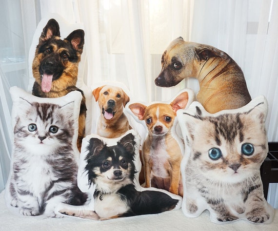 custom pet cushion
