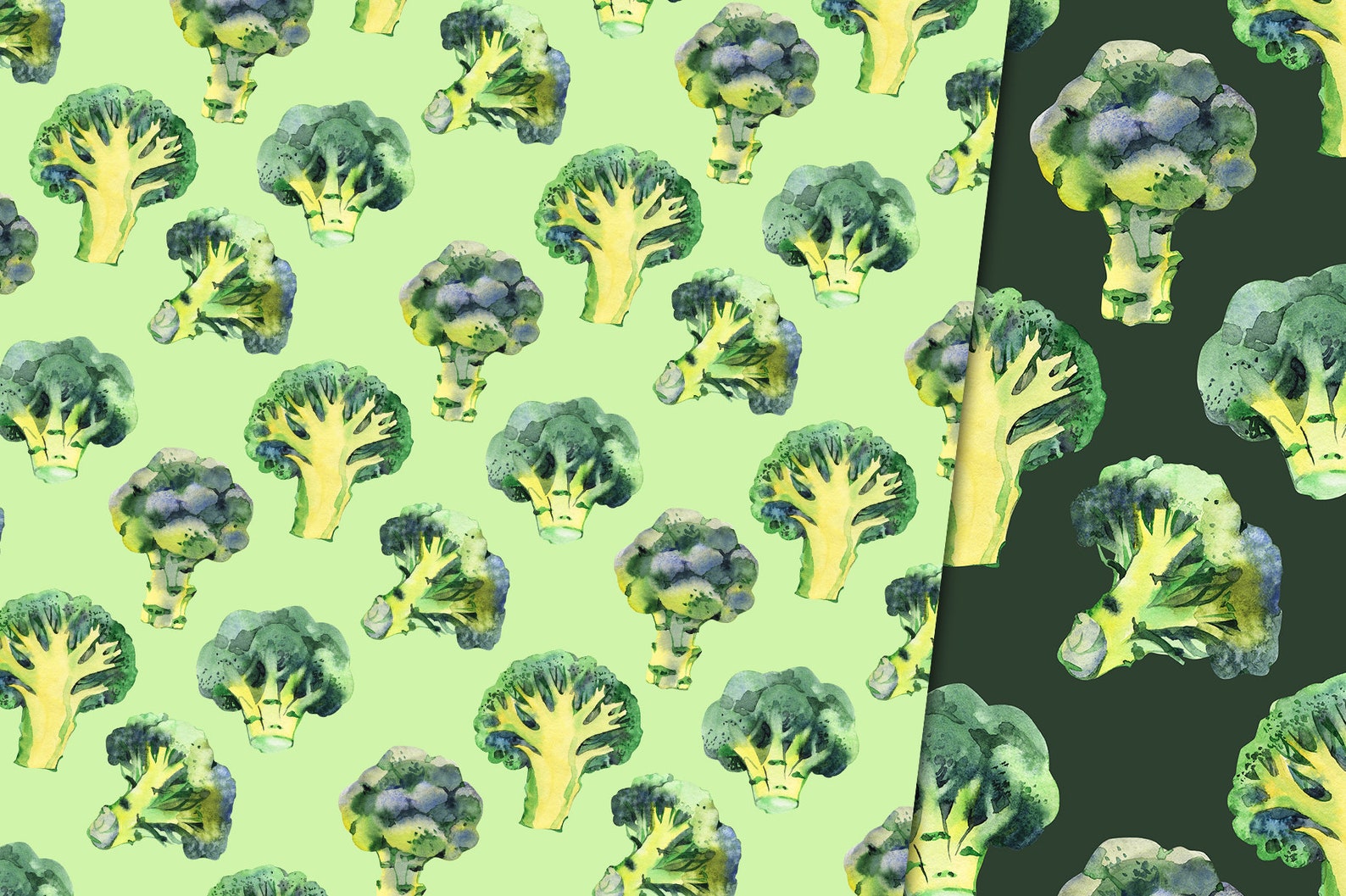 Watercolor broccoli PNG clipart. Vegetables png clipart ...