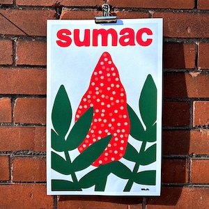 Puede incluir: Una ilustración de una planta de zumaque con bayas rojas y blancas y hojas verdes. La palabra "sumac" está impresa en letras rojas y negritas en la parte superior de la imagen.