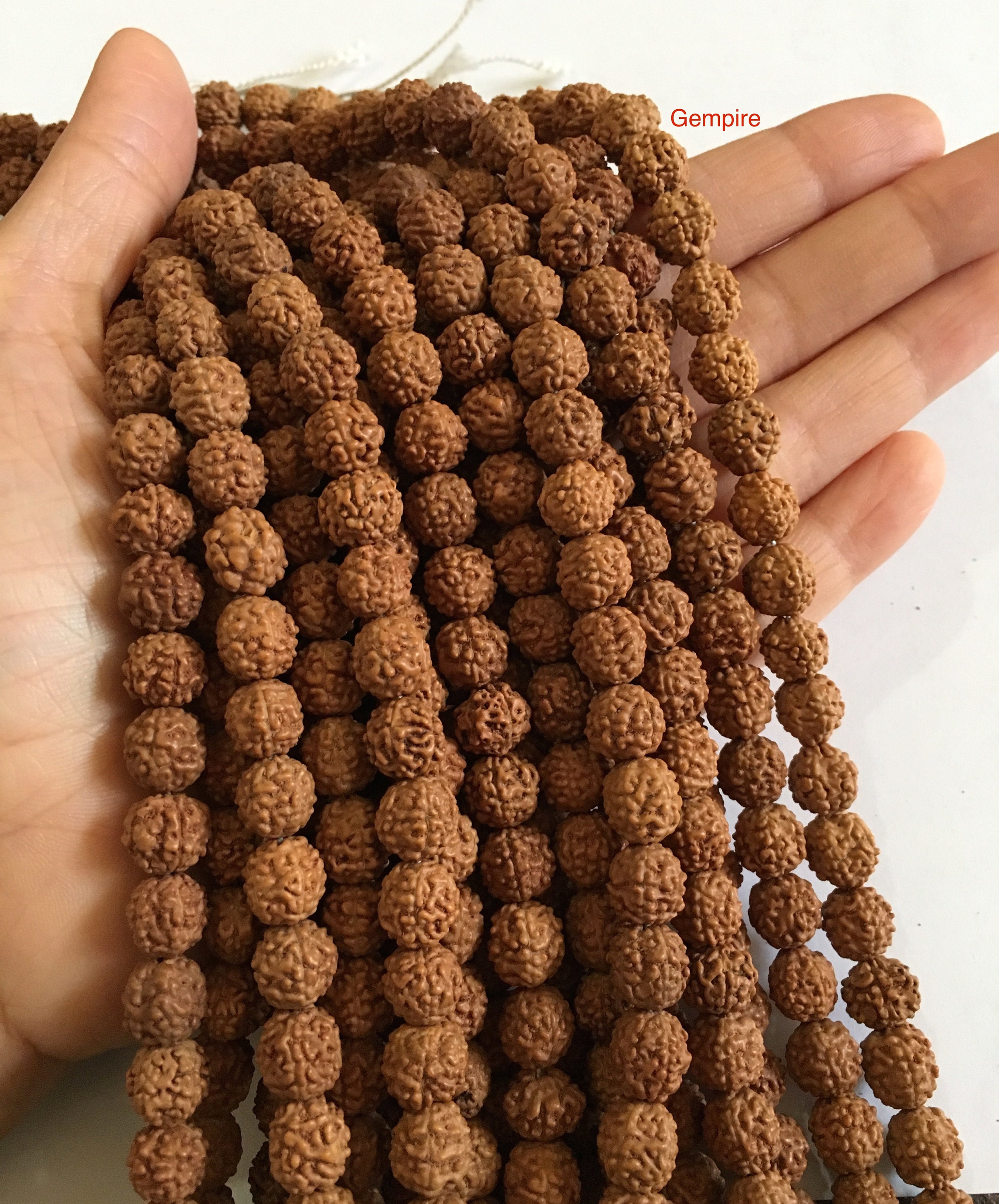 Rudraksha Mala Beads 8 Mm 10 Strands Natural Undyed 5 Mukhi | Etsy UK
