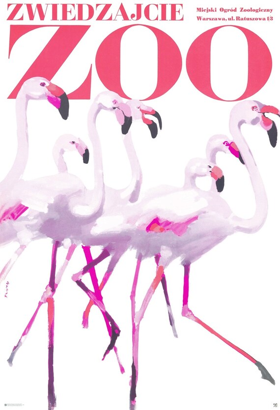 Pink Flamingos Zwiedzajcie ZOO Polish Vintage Great Etsy