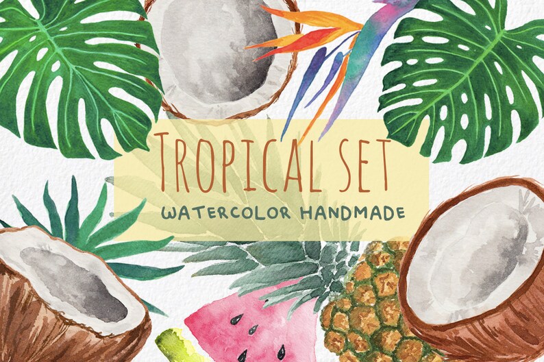 TROPICAL Set Watercolor Collection coconuts and bird of paradise flower Leaves hand painted ClipArt Set fruits Tropical Pack clipart