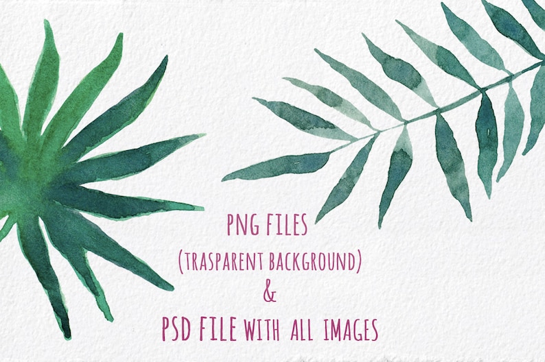 TROPICAL Set Watercolor Collection coconuts and bird of paradise flower Leaves hand painted ClipArt Set fruits Tropical Pack clipart