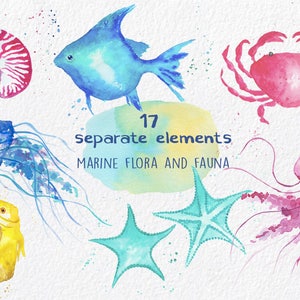 Watercolor Underwater Clipart Set.marine Life Hand Painted,under the ...