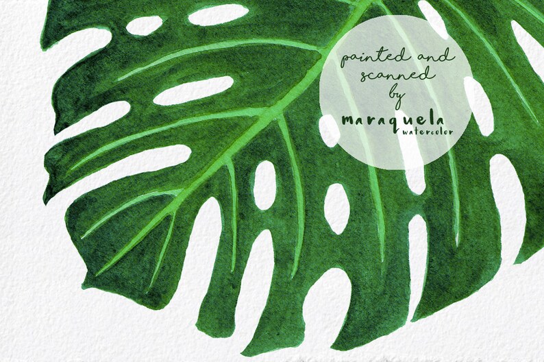 TROPICAL Set Watercolor Collection coconuts and bird of paradise flower Leaves hand painted ClipArt Set fruits Tropical Pack clipart
