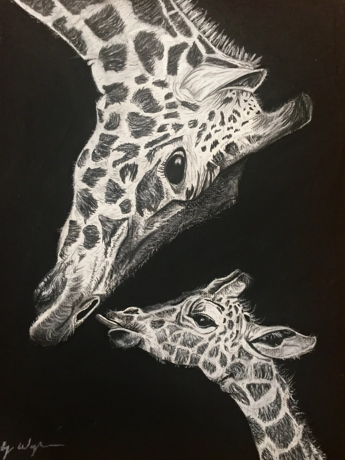 Charcoal Giraffe Drawing Print | Etsy